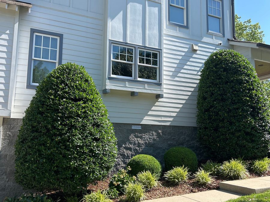Landscaping detail