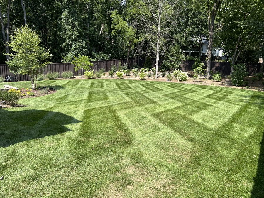 Lawn Mowing finished result
