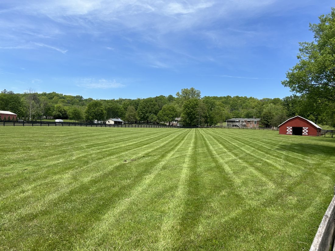 Fertilization & Weed Control project in Nashville