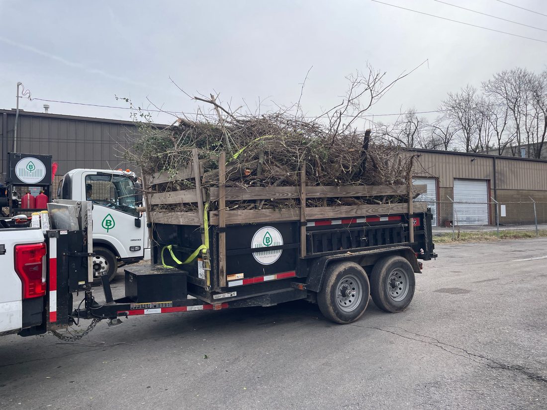 Seasonal Care in Nashville, TN by Bryan Lawn Care