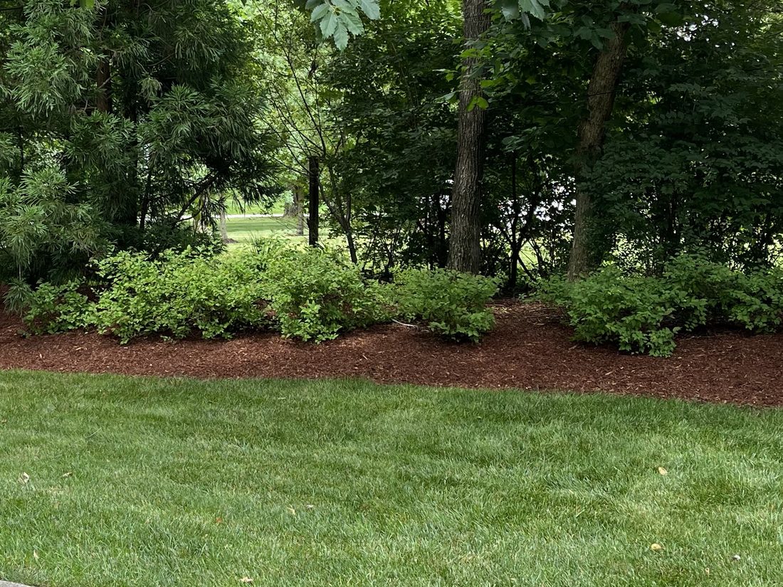 Lawn Maintenance by Bryan Lawn Care in Nashville, TN