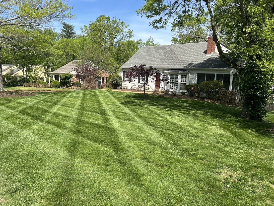 Lawn Mowing by Bryan Lawn Care in Nashville, TN